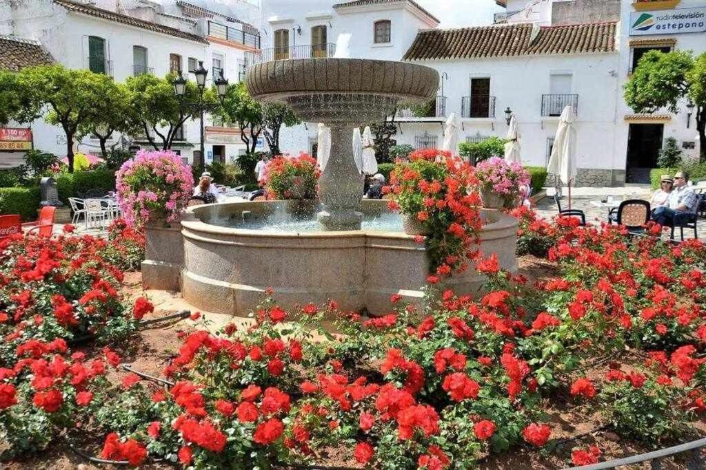 XV Apartamentos Morales & Arnal Estepona Zewnętrze zdjęcie